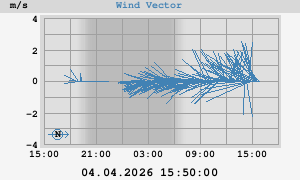 Wind Vector